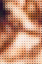 2025.5_1
