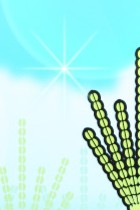 待ち受け8月_1